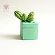'Cacti' Silicone mold. Molds for making flowers. Mozza-Flowers. Online shopping on My Livemaster.  Фото №2