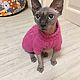 Одежда для кошек. Одежда для питомцев. Модный look для домашних питомцев. Ярмарка Мастеров.  Фото №4