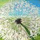 The Painting 'The Dandelion', Pictures, Novosibirsk,  Фото №1