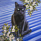 To order a portrait of your pet. Cats, dogs, cat, draw from photo, Pictures, Samara,  Фото №1