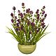 Grass meadow in the planters violet. Plants. best-coll-mos. Online shopping on My Livemaster.  Фото №2