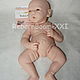 Заказать 23990! Молд "Eloisa" от Andrea Arcello. RebornBoom-XXI. Ярмарка Мастеров. . Заготовки для кукол и игрушек Фото №3