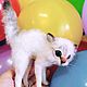 Котёнок валяный. Войлочная игрушка. Нина Ефремова. Интернет-магазин Ярмарка Мастеров.  Фото №2