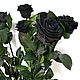 Стабилизированные чёрные розы на стеблях. Цветы сухие и стабилизированные. Елена (lENALEG). Интернет-магазин Ярмарка Мастеров.  Фото №2