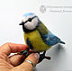 Заказать Broche Pájaro carbonero en vetochke - sinichka valyanaya de seis. Woolen Zoo. Ярмарка Мастеров. . Brooches Фото №3