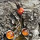 Silent Lake. Clips made of amber and silver, Vintage earrings, Krasnodar,  Фото №1