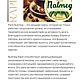 Nutmeg 15 гр (смесь трав). Дух-помощник. Рапэ Дар. Интернет-магазин Ярмарка Мастеров.  Фото №2
