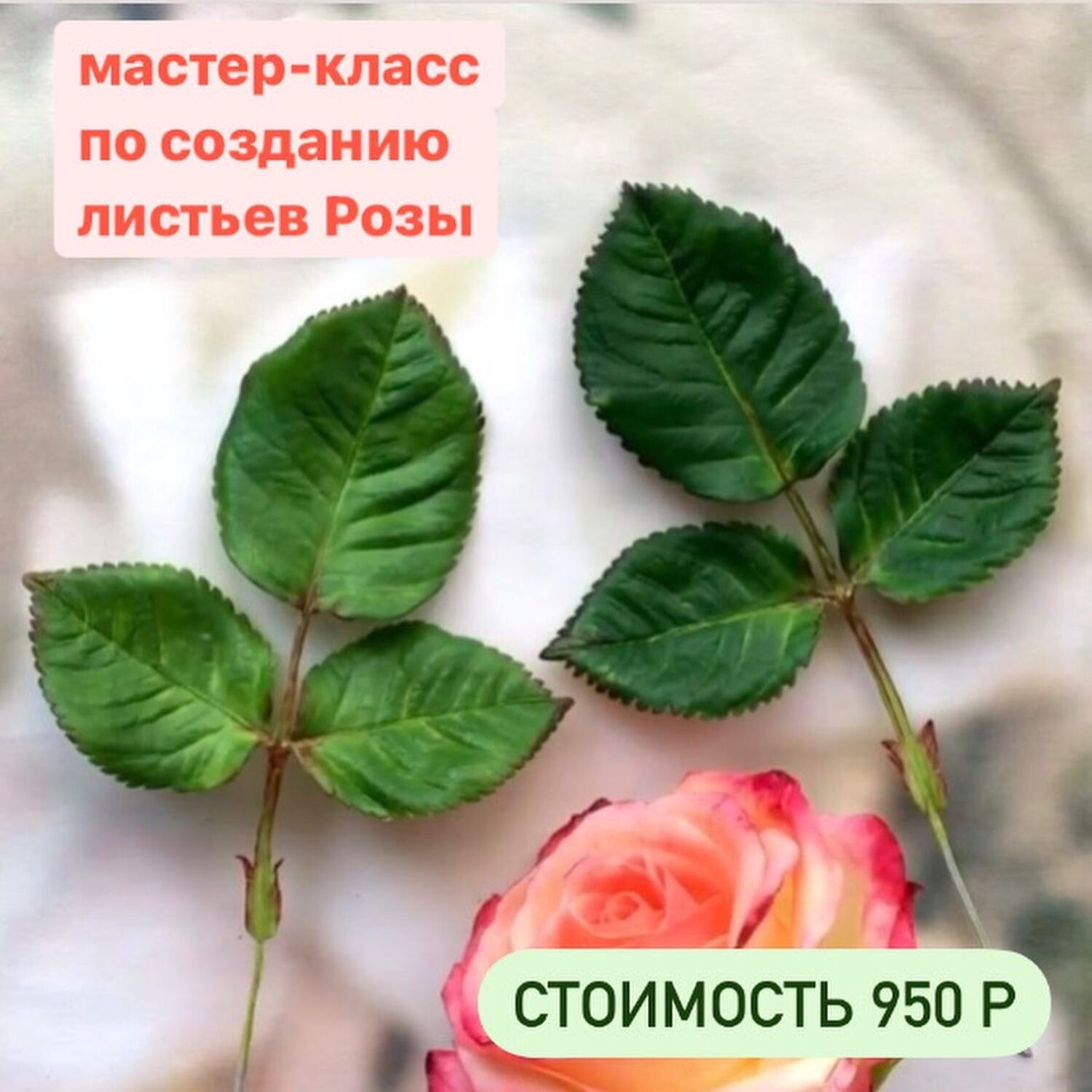 Как собрать букет из роз: мастер-класс по упаковке красивого букета из 3, 5, 9, 25 роз