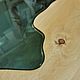 Order TABLES: Solid cedar table with glass. Joinery in Altai. Livemaster. . Tables Фото №3