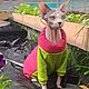 Cat clothes Warm Jumpsuit - 'Viva magenta/olive', Pet clothes, Biisk,  Фото №1