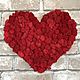 Heart made of stabilized moss 30*35 cm red. Kits for photo shoots. Антонина Литовкина - Озеленение (Планета Флористики). Online shopping on My Livemaster.  Фото №2