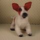 Jack Russell Terrier Dog, Amigurumi dolls and toys, Rzhev,  Фото №1