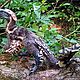 Заказать  Дейноних по мотивам игры ARK: Survival Evolved. Workshop: Sayvaris (Ручная работа.). Ярмарка Мастеров. . Интерьерная кукла Фото №3