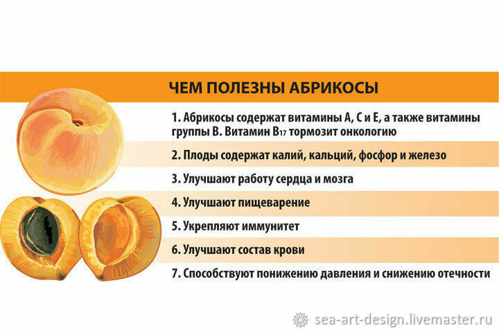 Абрикосовая горечь 2023. Чем полезны абрикосы. Витамины в абрикосе. Полезные свойства абрикоса. Абрикос для чего полезен.