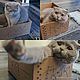 Box for cats BOX4CAT without a Mat-couches, Accessories for Pets, Pskov,  Фото №1