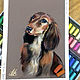 Order  Dog Dachshund. Original. Pastel. Valeria Akulova ART. Livemaster. . Pictures Фото №3