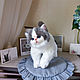 Мягкая игрушка котенок экзот Мотя. Экзотическая короткошерстная кошка. Мягкие игрушки. Игрушки ручной работы| Юлия Дынер. Ярмарка Мастеров.  Фото №5