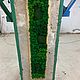 Фитокартина из мха. Фитокартины. Green.Box. Ярмарка Мастеров.  Фото №4