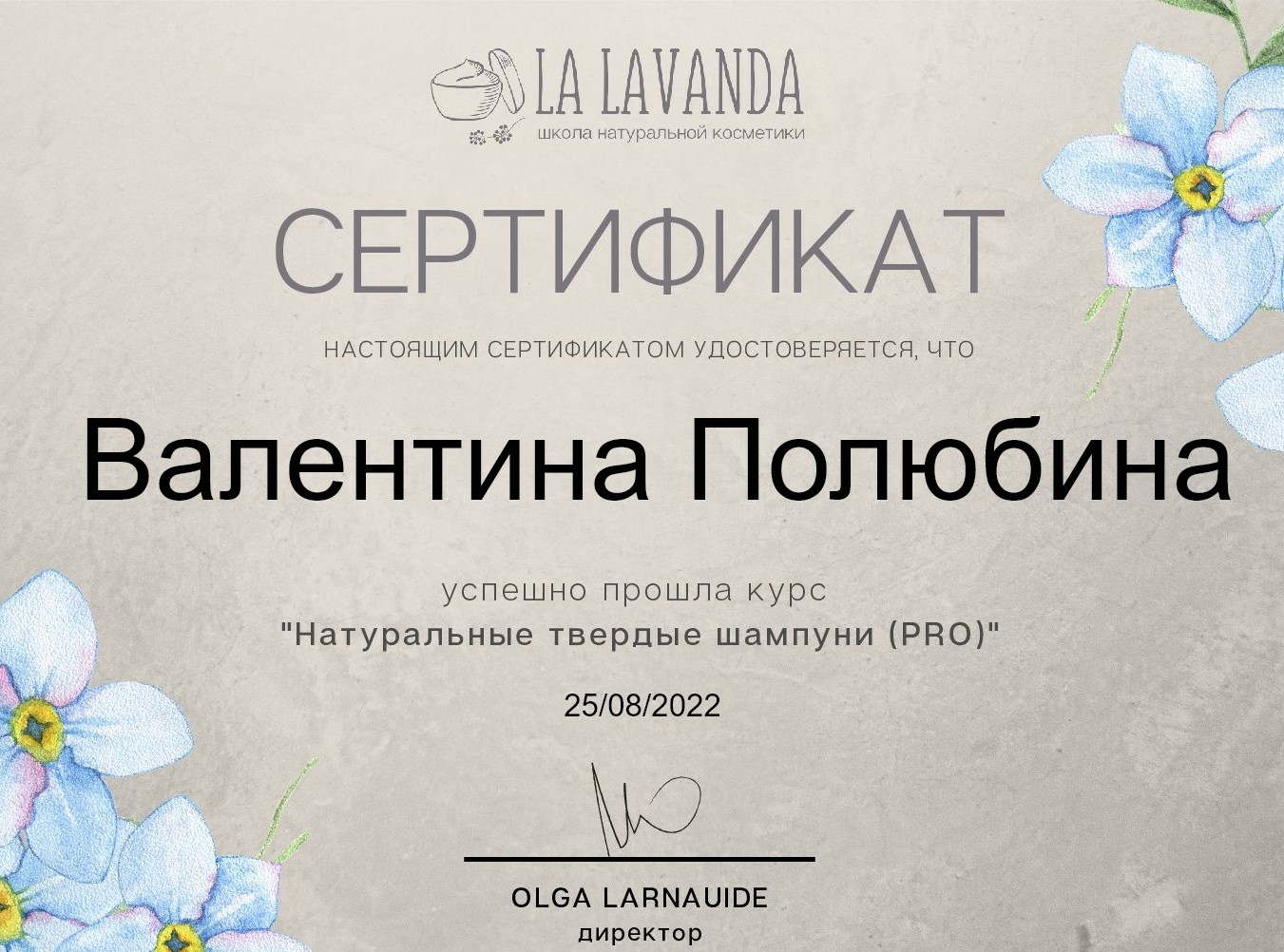 Сертификат Про