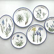Посуда handmade. Livemaster - original item Plates: Collection of plates Alpine plants . Blue edging. Handmade.