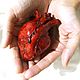 Анатомическое сердце в реальную величину. Сувениры по профессиям. Anatomical heart (anatomicalheart). Ярмарка Мастеров.  Фото №6