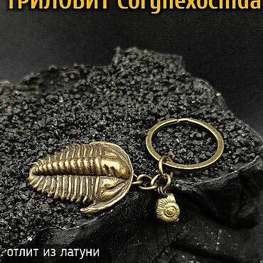 Сумки ручной работы. Ярмарка Мастеров - ручная работа Брелок-подвеска Трилобит Коринексохида. Handmade.