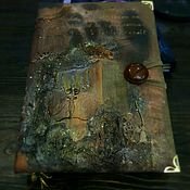 Дневник желаний Фея с драконом
