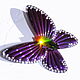 Винтаж: Редкость! Nolan Miller "Los Cabos Butterfly" роскошная брошь, Броши винтажные, Санкт-Петербург,  Фото №1