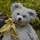 Оська. Мишки Тедди. Wanderersbears. Ярмарка Мастеров.  Фото №6