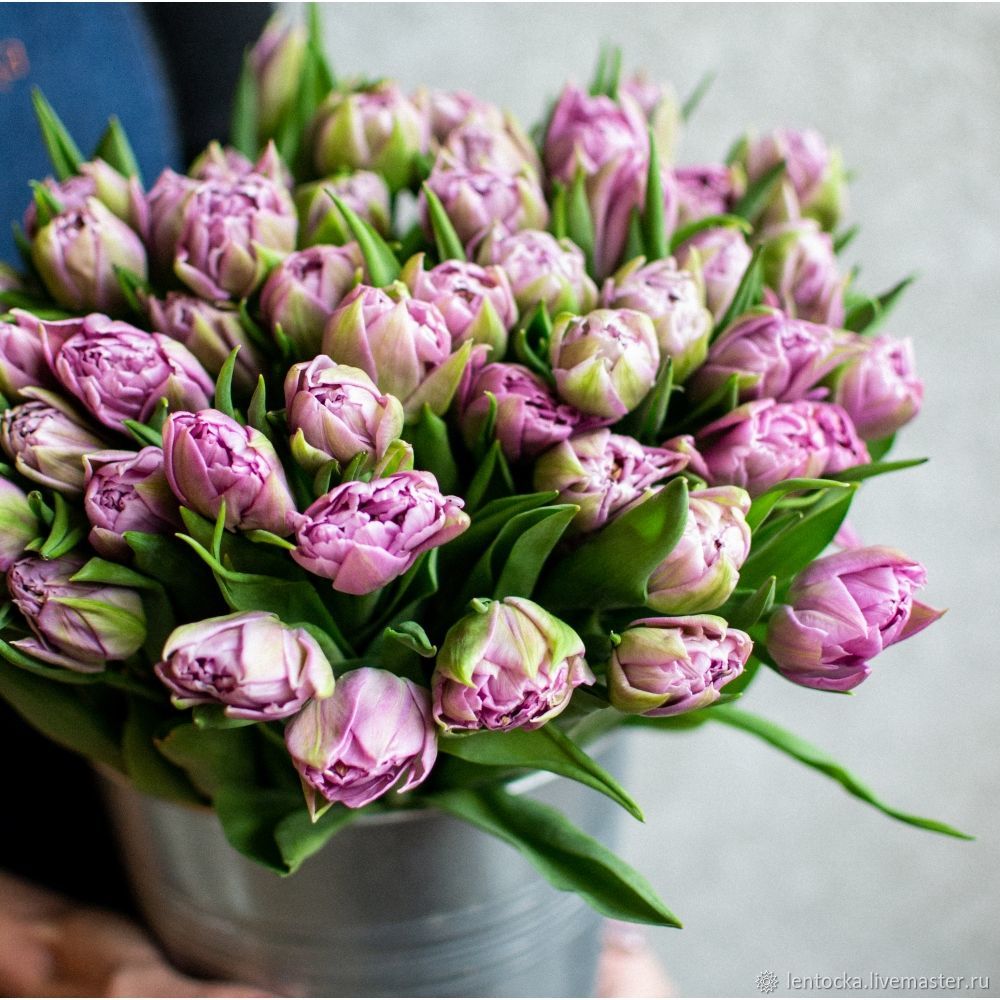 Пионовидные тюльпаны фото и описание