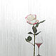 Order Wine and rose. Photo pictures. star-screen (star-screen). Livemaster. . Pictures Фото №3