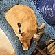 Лежанка-гамачок для кошек "Море". Лежанки. Дмитрий Ложкин (когтеточки, домики) (kogtetochki-rus). Ярмарка Мастеров.  Фото №5