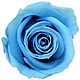 Стабилизированный Бутон розы "Light Blue" (Mini). Цветы сухие и стабилизированные. Flority. Интернет-магазин Ярмарка Мастеров.  Фото №2