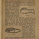 Самоучитель шитья обуви, книга 1918 года. Схемы для шитья. EcoLife_23. Ярмарка Мастеров.  Фото №8
