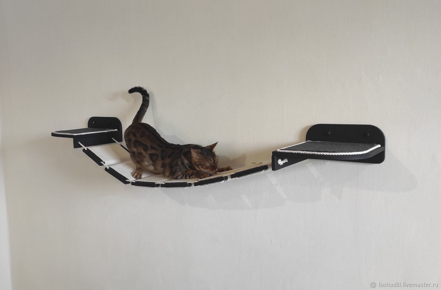 Bridge for cats ' Otrada Lux 2', Accessories for Pets, Pleasant,  Фото №1