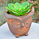 Concrete planter owl with artificial succulent, Vases, Azov,  Фото №1
