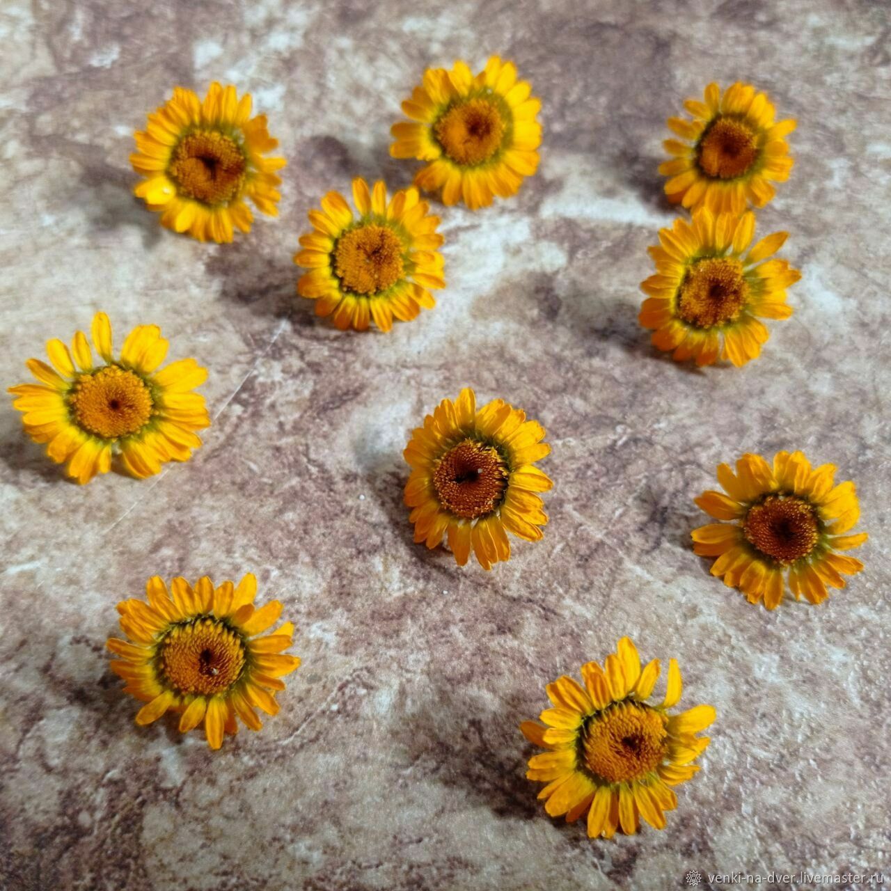 Проданно! Желтые ромашки Пупавка красильная 5 шт для творчества купить ...