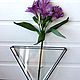 mini garden mini vase for garden, flowers, glass Floriana, geometric florariumov to buy SPb, Floriana flat on the wall, Floriana, terrarium buy
