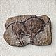 Rock painting. Bison 2, Interior elements, Moscow,  Фото №1