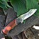Нож складной "Носорог" Златоуст, Сувенирное оружие, Златоуст,  Фото №1