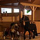  Конюшня деревянная с тренерской и амуничником, Кукольные домики, Москва,  Фото №1