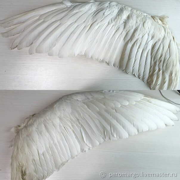 Крылья лебедя (58 фото)