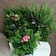 Заказать Композиция из очитка. Flowers16kzn-. Ярмарка Мастеров. . Композиции Фото №3