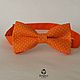 Tie Vita / orange bow tie with white polka dots. Ties. Respect Accessories. Online shopping on My Livemaster.  Фото №2