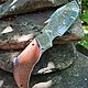 Folding knife 'Beaver' Zlatoust, Gifts for hunters and fishers, Chrysostom,  Фото №1