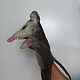 Toy on hand possum small. Theatrical puppets. Puppet show. AnzhWoolToy (AnzhelikaK). My Livemaster. Фото №6