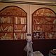 Роспись стен книжный шкаф
