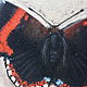 Заказать  ' Butterfly' - pastel painting. Kartiny s lyubovyu. Ярмарка Мастеров. . Pictures Фото №3