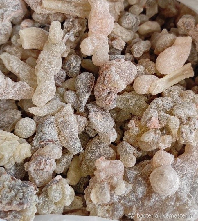 Ладан смола Сомали, олибанум, Boswellia carterii, 10 грамм в интернет ...