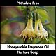 Honeysuckle (Жимолость) Nurture Soap, Ароматизаторы, Самара,  Фото №1